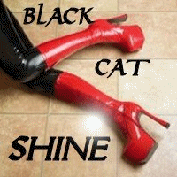 MzDominica - File Descriptions/MzDominica - File Descriptions/Black Cat Shine.gif
